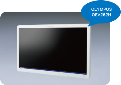 OLYMPUS OEV262H