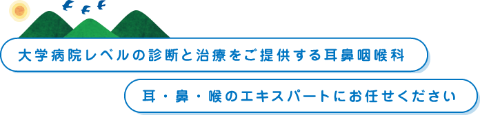 大学病院レベルの診断と治療をご提供する耳鼻咽喉科 耳・鼻・喉のエキスパートにお任せください